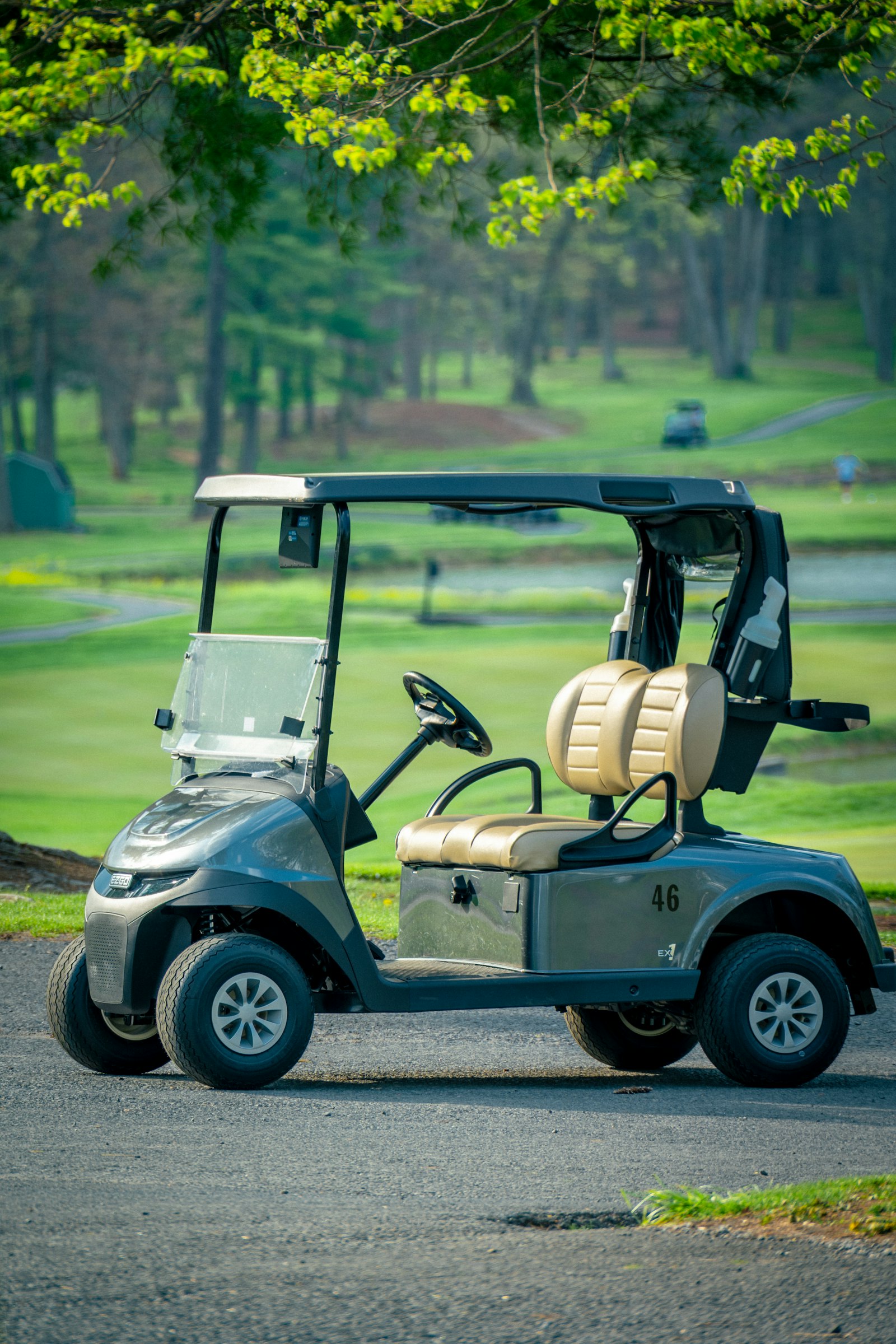 Electric vs Gas Golf Carts